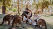 Kangaroo feeding at Ballarat Wildlife Park LR