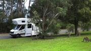 MAUI 3 CAMPERVAN GREAT SOUTHERN TOURING ROUTE 684x476