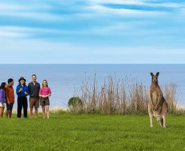 Wildlife Wonders kangaroo in Sanctuary