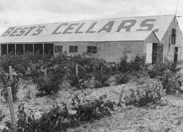 Bests Wines Glass Negatives Painted Cellar roof 1920