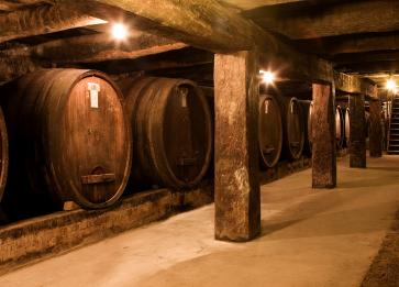 Bests Wines underground Cellars by Marcus Thomson 2008