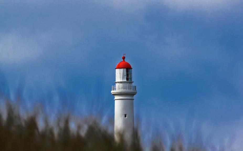 Ecologic Activities RHosking 1