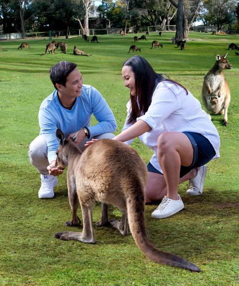 Kanagroo encounter at Ballarat Wildlife Park LR