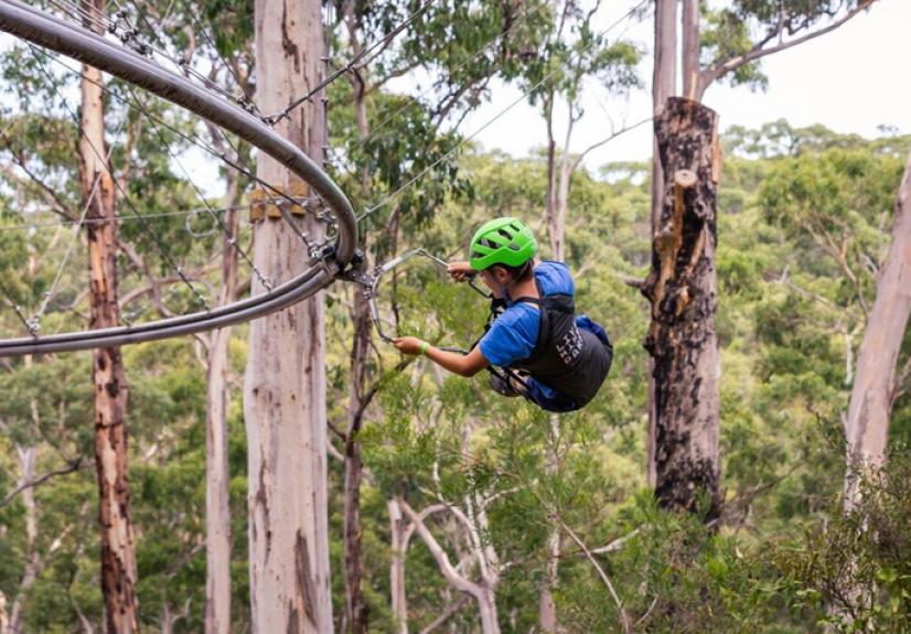 Live Wire Park Lorne Great Ocean Road Great Southern Touring