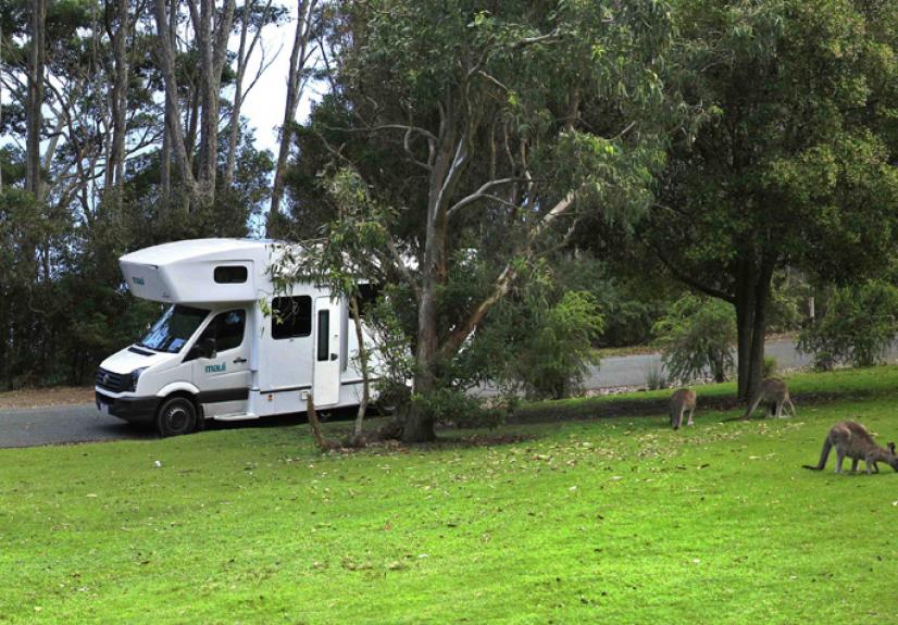 MAUI 3 CAMPERVAN GREAT SOUTHERN TOURING ROUTE 684x476