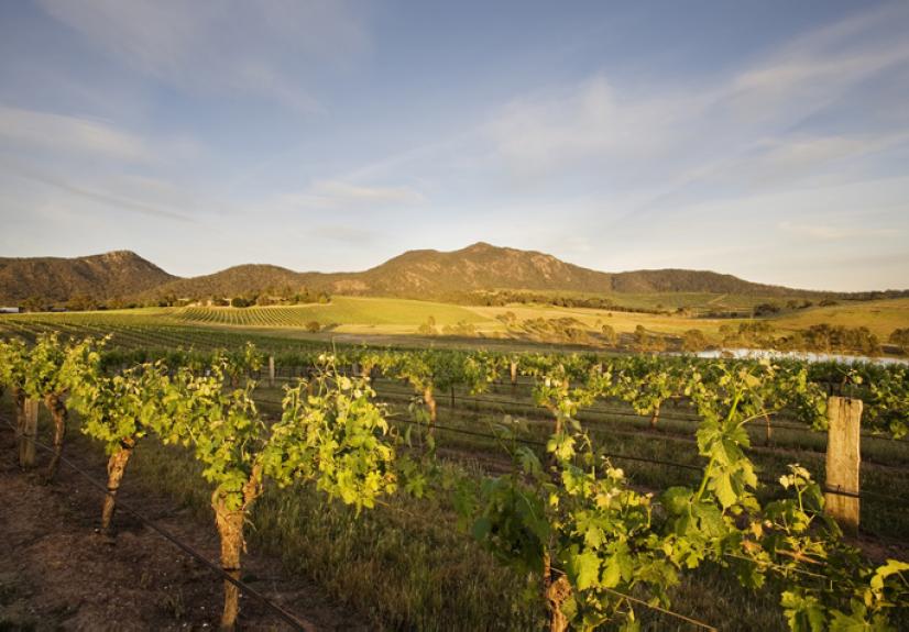 MOUNT LANGI GHIRAN 4 GRAMPIANS 684x476